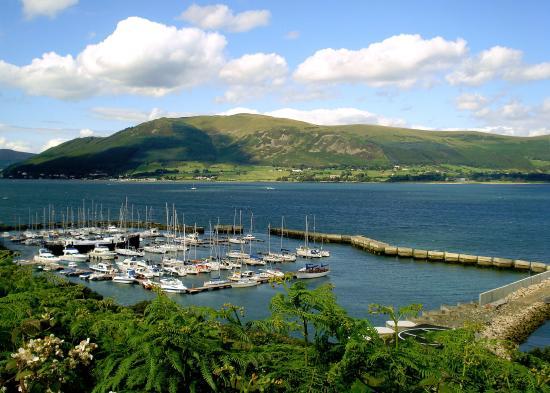 Carlingford Marina